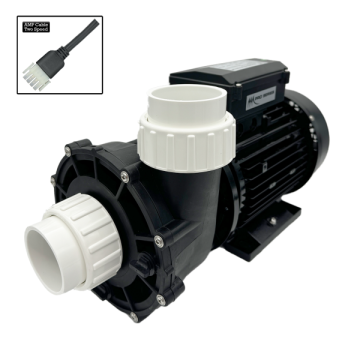 LX Pro Series WP200 2hp Two Speed Pump LX-WP200-II - Spa Spare Part