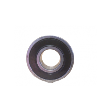 Motor Bearing 6203 - Spa Pump Part