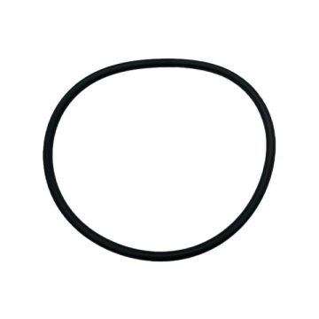 Waterco Hydrostorm Eco Pump Lid O'ring WC-63151 - Spa Spare Part