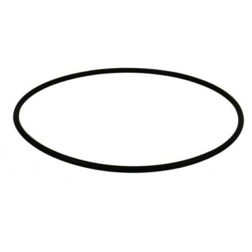 O'RING: SP500/Classic Element Carrier(Body) Q3022 - Spa Spare Part
