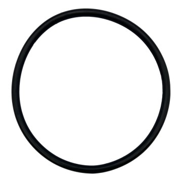 Astral/Hurlcon Pump Lid O'ring PA-591 - Spa Spare Part