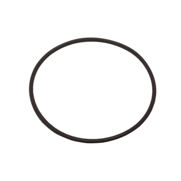 Astral / Hurlcon CTX/E Series Pump Lid O'ring AP-70006 - Spa Spare Part