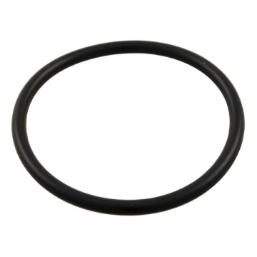 Aqua-Flo XP2/XP2e and Waterway Pump Union O'ring G-92200210 - Spa Spare Part
