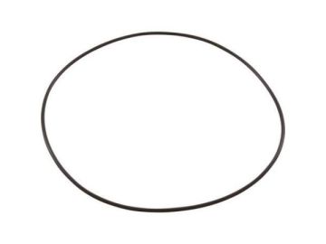 Aqua-Flo XP2/e Body O'ring G-92200300 - Spa Spare Part