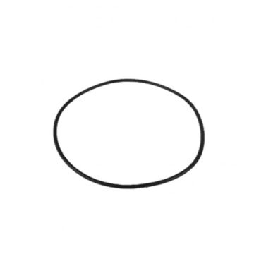 Davey Spa-Quip Series 1000 Filter Lid O'Ring Q1043 - Spa Spare Part