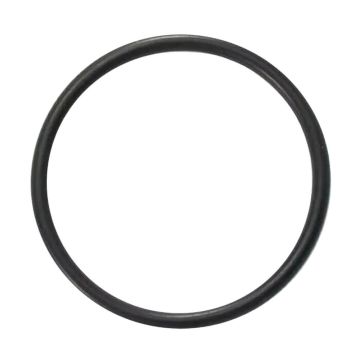Astral Pool 70003 O-Ring 50mm Union