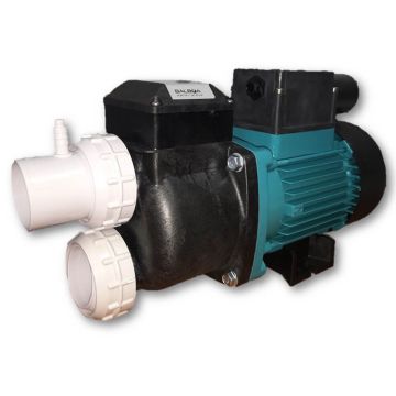 Balboa 2401 1.5hp Hot Spa Pump B-24011100 (Formerly Onga)