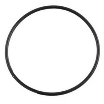 Poolrite Enduro Pool Pump & V600 Top Valve O'Ring / Gasket - Genuine