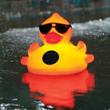 SwimSportz Solar Light Up Duck: Floating Pool Light (large)