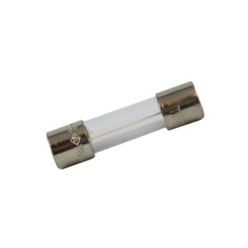 Zodiac Clearwater C Series Fuse (TLS) W110101 - Chlorinator Spare Part 