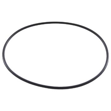 Zodiac LM3/Ei3 Cell Main O Ring R0768800 - Genuine Chlorinator Spare Part