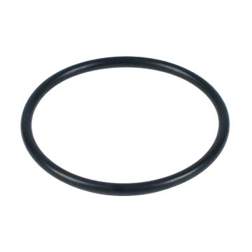 Zodiac eXO iQ pH/PRO, Hydroxinator iQ pH/PRO, pH Perfect, Ei Main O Ring R0738500 - Genuine Chlorinator Spare Part