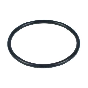 Zodiac TRi, pH Perfect Pod Cap Screw O-ring R0769800 - Genuine Chlorinator Spare Part