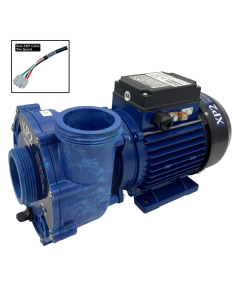 Aqua-Flo XP2 2.5hp 2spd - AMP Plug - Spa Spare Part