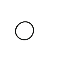 Pulsar/2095 element O'ring Q3056 - Spa Spare Part