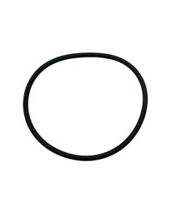 Waterco Hydrostorm Eco Pump Lid O'ring WC-63151 - Spa Spare Part
