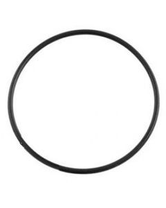 Poolrite Enduro Pool Pump & V600 Top Valve O'Ring / Gasket - Genuine