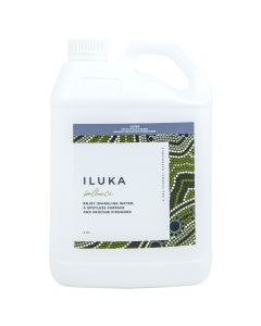 Iluka Brilliance 2.5L Conditioning Ingredients - SPA Chemical