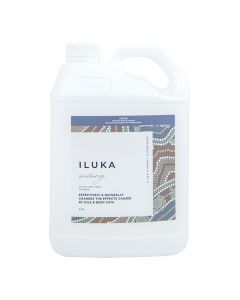 Iluka Seachange 2.5L Spa Clarifier - SPA Chemical