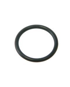 Polaris 9300 O-Ring 21X2 W1851A - Pool Cleaner Spare Part