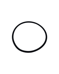 SENSAPOOL SF Pump Body O'ring SP-SFPBORI - Spa Spare Part