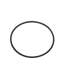 Astral / Hurlcon CTX/E Series Pump Lid O'ring AP-70006 - Spa Spare Part