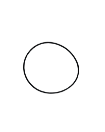 O'RING: QB/LX/XS Pump Body D-40019 - Spa Spare Part