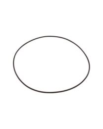 Aqua-Flo XP2/e Body O'ring G-92200300 - Spa Spare Part