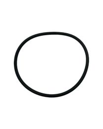 Waterco Hydrostorm Eco Pump Lid O'ring WC-63151 - Spa Spare Part