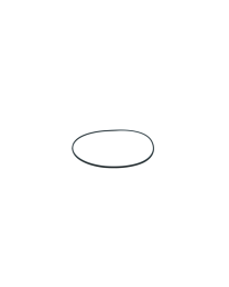 Davey Starflo Lid O'ring D-403131 - Spa Spare Part