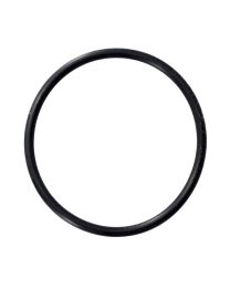 AstralPool 78104 O-Ring 65mm Tail Union