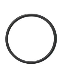 AstralPool 70003 O-Ring 50mm Union