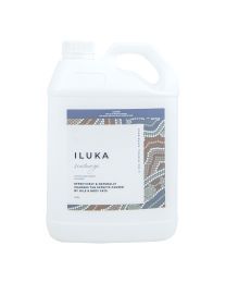 Iluka Seachange 2.5L Spa Clarifier - SPA Chemical