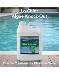 Lo-Chlor Algae Knock-Out Algaecide 2.5L – Pool Chemical (DG)