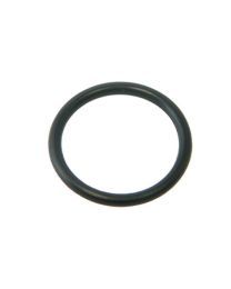 Polaris 9300 O-Ring 21X2 W1851A - Pool Cleaner Spare Part