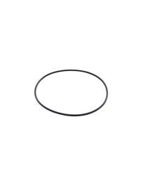 Zodiac Clearwater BS154 Cell O'Ring
