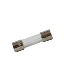 Zodiac Clearwater C Series Fuse (TLS) W110101 - Chlorinator Spare Part 