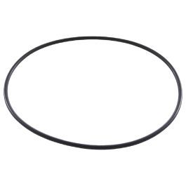 Ringo Zodiac LM3/Ei3 Cell Main O Ring R0768800 - Genuine Chlorinator