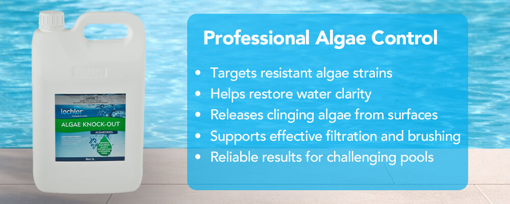 Professional Algae Control