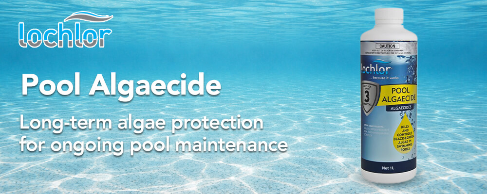 Long-Term Algae Prevention