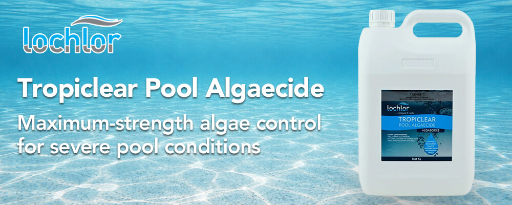 Maximum-strength algae control for severe pool conditions