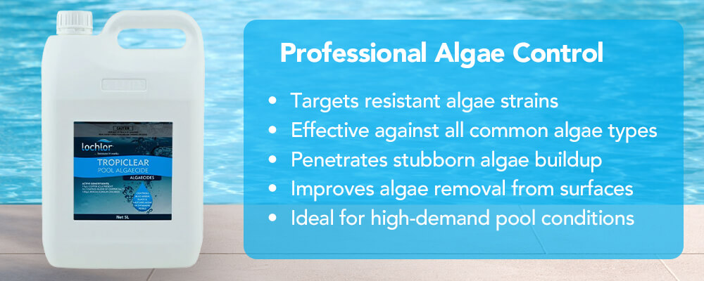 Professional Algae Control