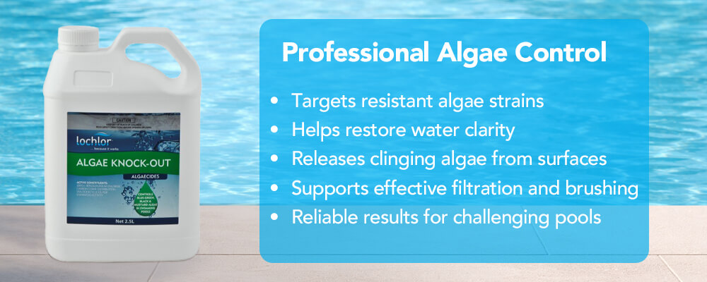 Professional Algae Control