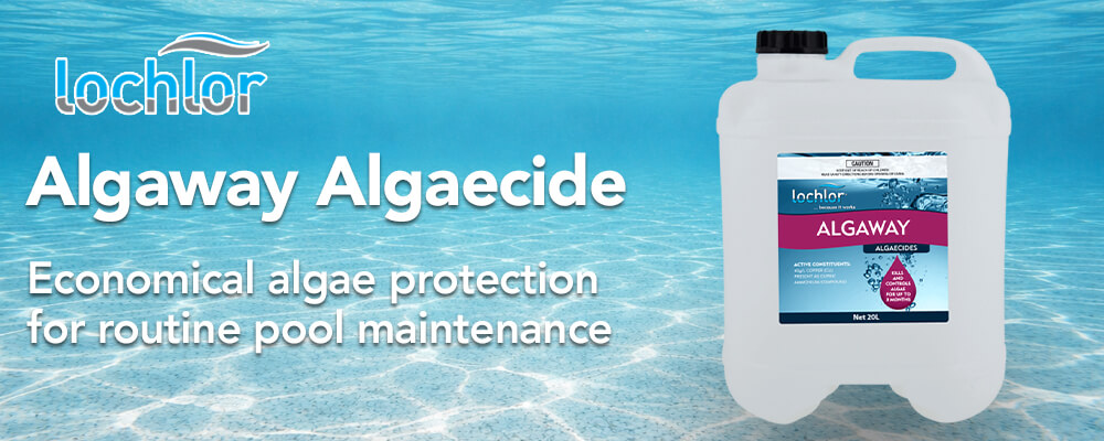 Economical algae protection for routine pool maintenance