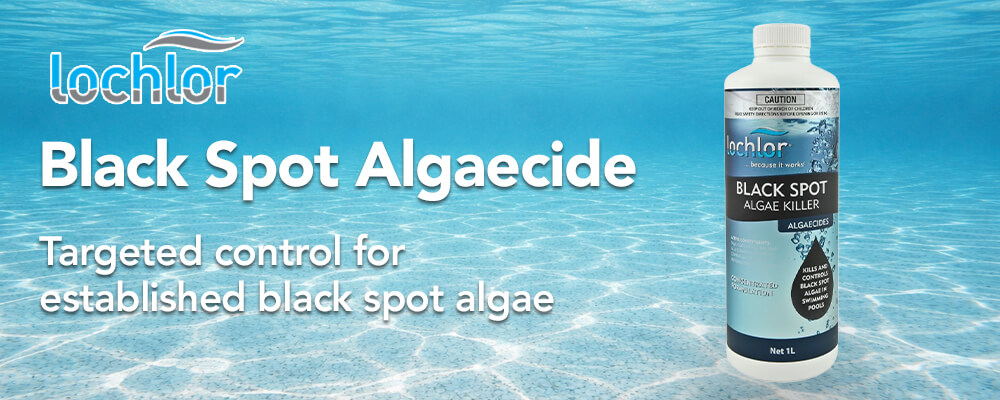 Targeted control for established black spot algae