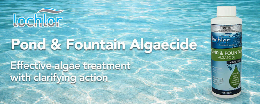 Effective algae treatment with clarifying action