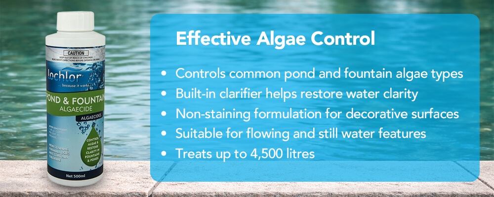 Effective Algae Control for Ponds and Fountains