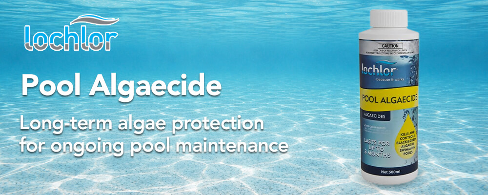 Long-Term Algae Prevention