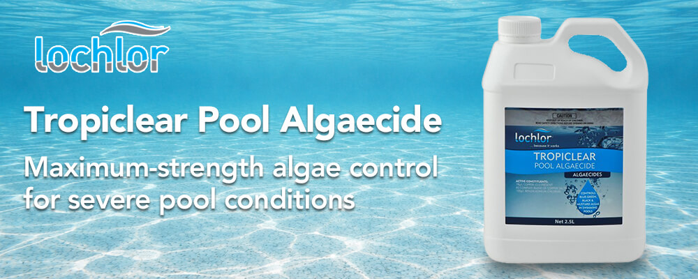 Maximum-strength algae control for severe pool conditions