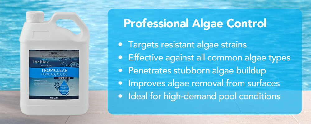 Professional Algae Control